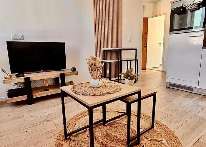 Apartment T2 Proche Centre, Parc Expo, Netflix
